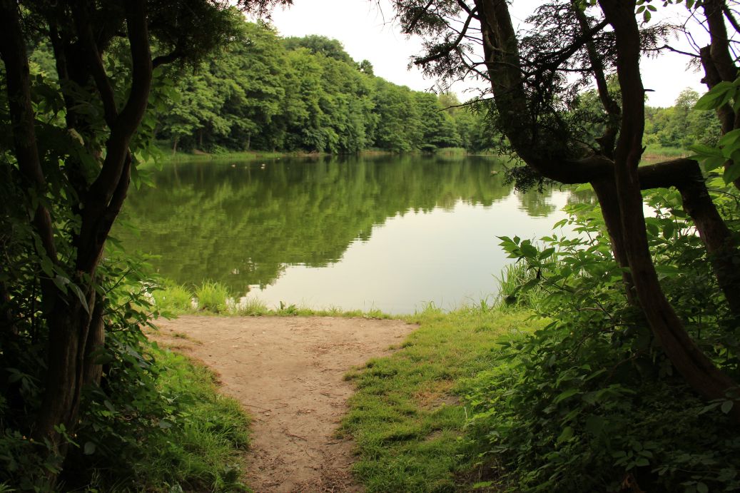 Park pałacowy Krasińskich w Złotym Potoku