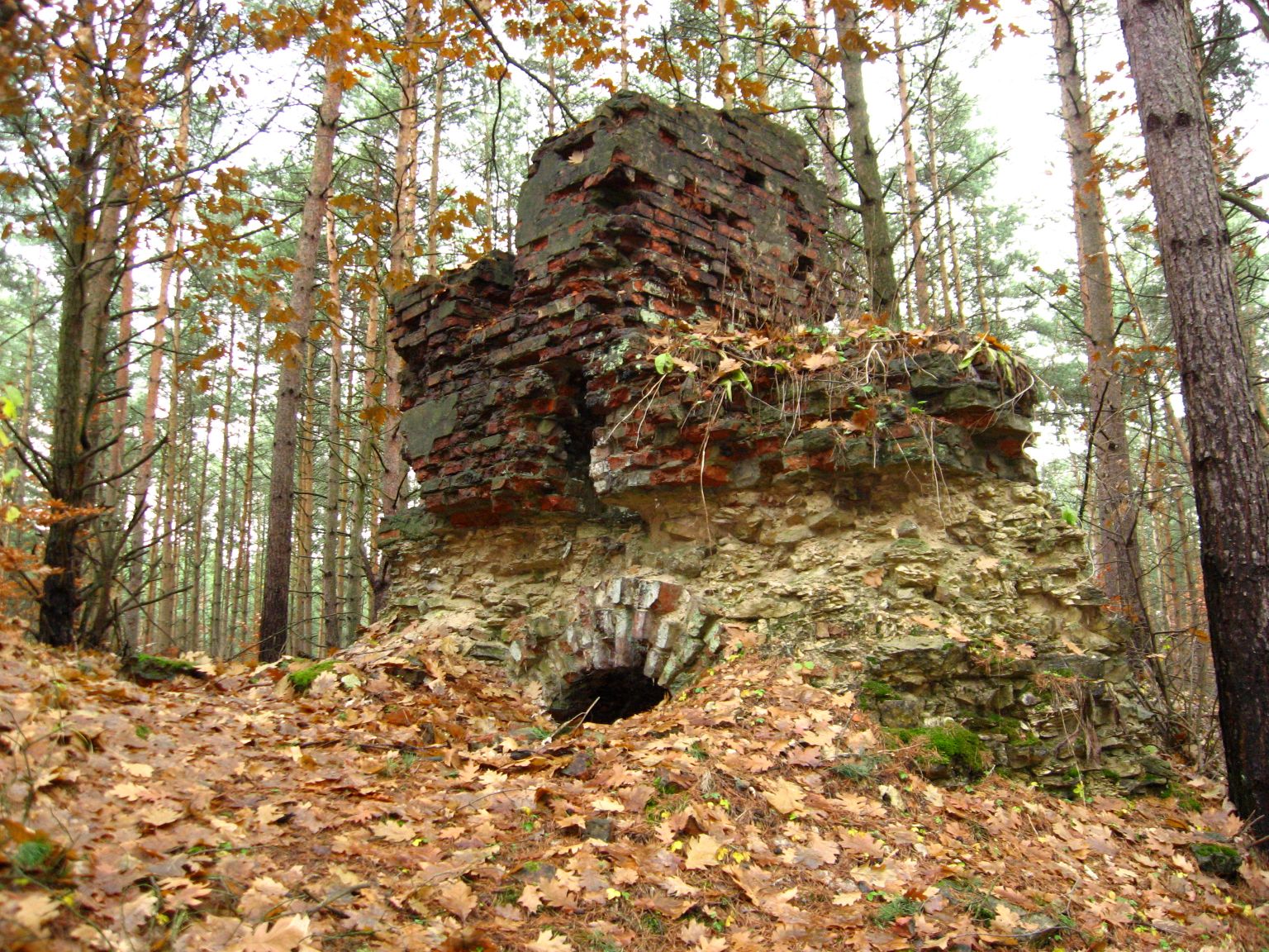 Ruiny prochowni w Ogrodzieńcu fot. R.Rębisz